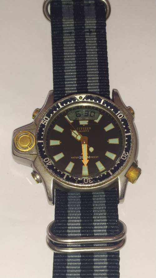 Citizen Dive watch